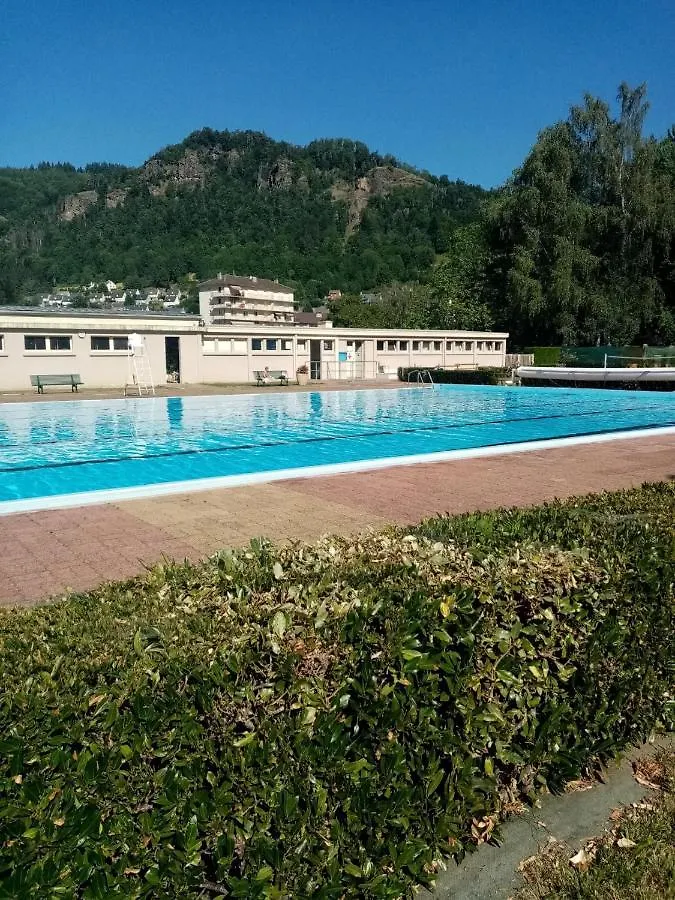 Les Petunias Daire Vic-sur-Cère