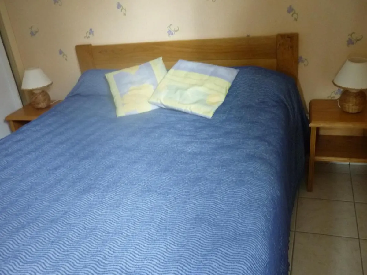 Les Petunias Apartment Vic-sur-Cere